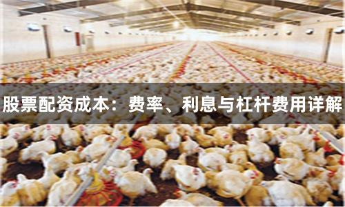 股票配资成本：费率、利息与杠杆费用详解